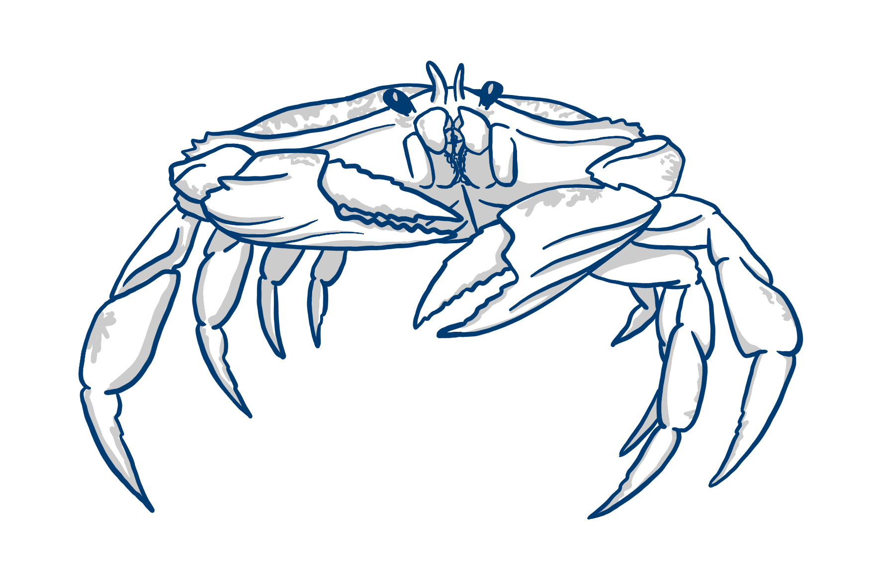 Sustainably harvested seafood delivery