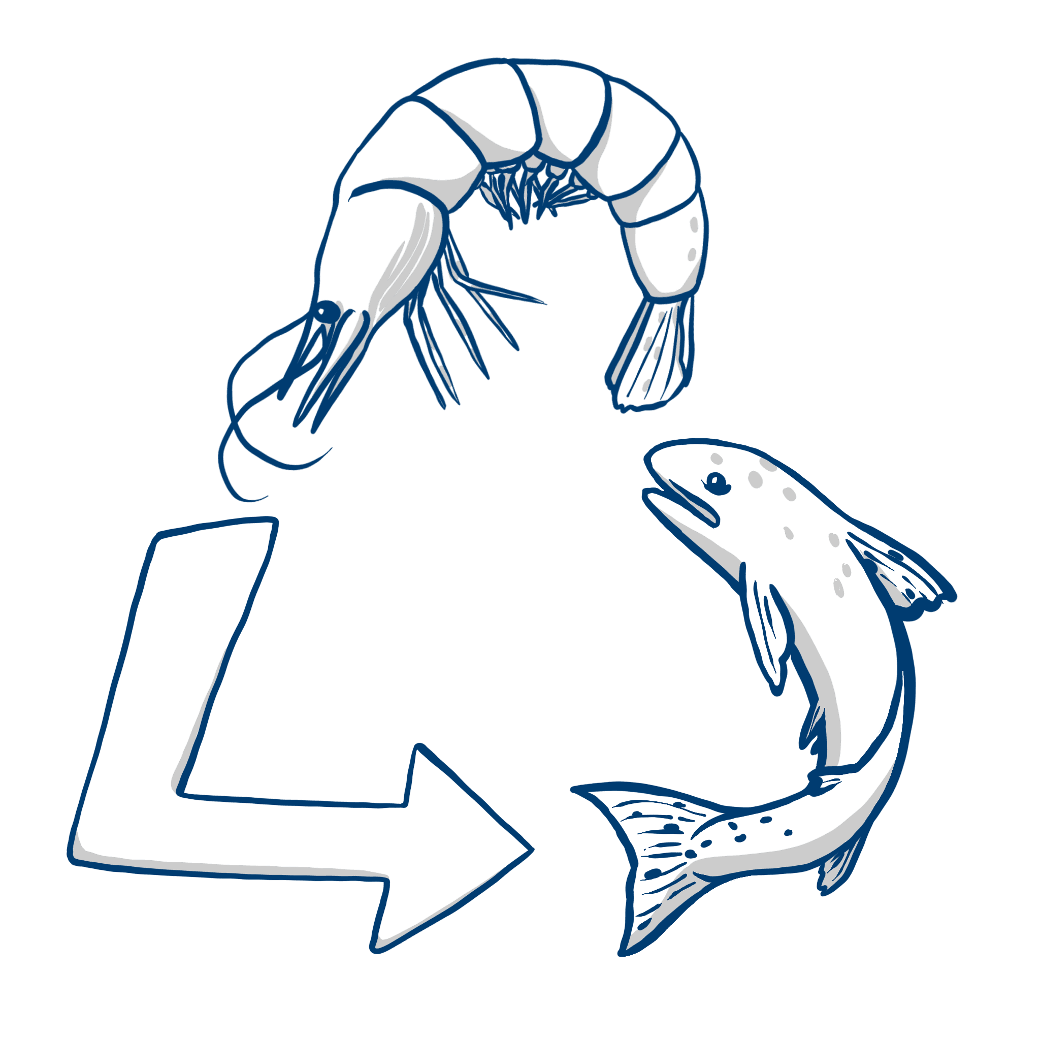 Traceable, Wild, Sustainable